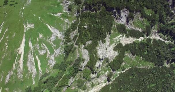 Drone Výstřel Při Pohledu Přímo Dolů Turistické Stezce Při Letu — Stock video