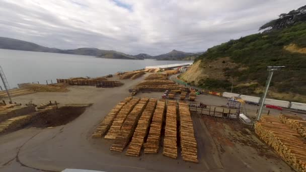 在操作中的木屑磨坊的时间间隔 木材厂 — 图库视频影像