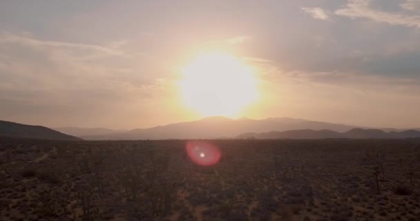 Flygfoto Vertigo Effect Vid Solnedgången Över Joshua Trees Kalifornien Mojave — Stockvideo