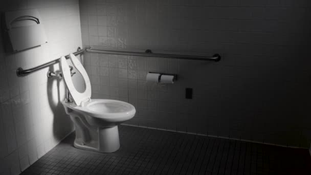 Biała Toaleta Publicznej Toalecie Kąpana Świetle Okien — Wideo stockowe