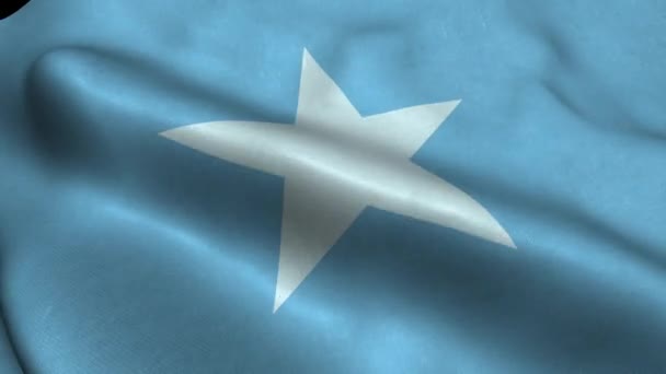 Photorealistic Close Somalia Flag Slow Waving Visible Wrinkles Realistic Fabric — Vídeo de Stock