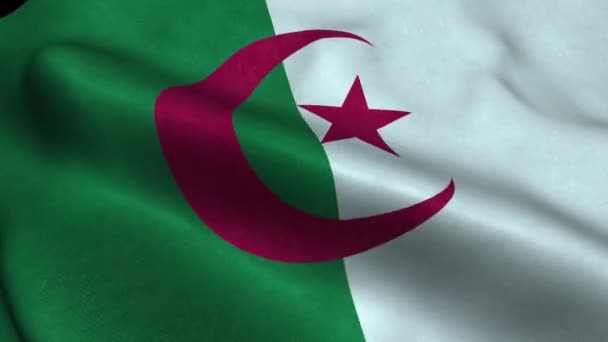 Photorealistic Close Algeria Flag Slow Waving Visible Wrinkles Realistic Fabric — Vídeo de Stock