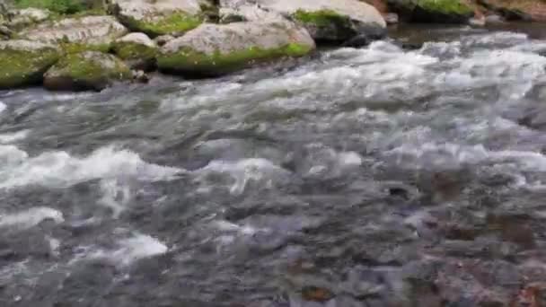 Torrente Che Scorre Mcconnells Mill State Park — Video Stock