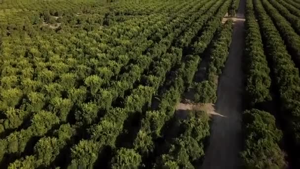 Surreal Shot Temecula California — Stock Video