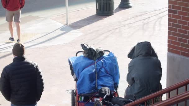 Бездомный Просит Еду Центре Города — стоковое видео