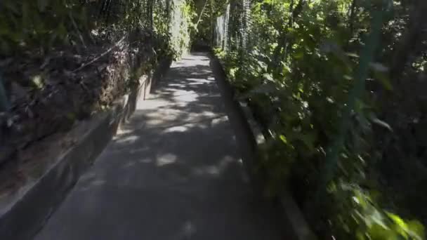 ブラジルのリオデジャネイロの公園内の都市歩道 4Kで撮影したOsmoを使用して 建物の真ん中にあるこの公園内のさまざまな道を歩きました マイナー色補正を持っている — ストック動画