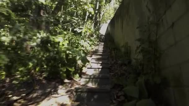 ブラジルのリオデジャネイロの公園内の都市歩道 4Kで撮影したOsmoを使用して 建物の真ん中にあるこの公園内のさまざまな道を歩きました マイナー色補正を持っている — ストック動画