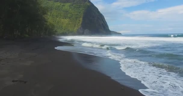 아름다운 하와이 해변의 — 비디오