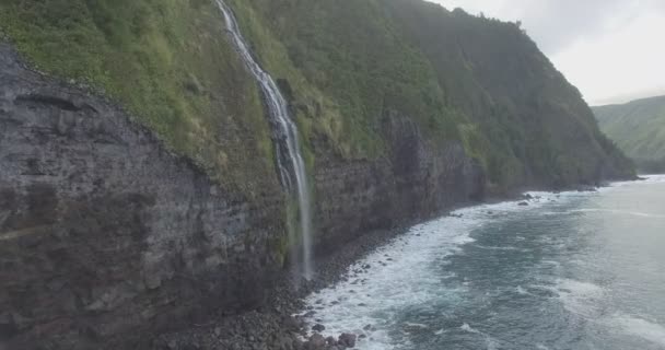 Cascada Que Vierte Océano Costa Hawai Intacta — Vídeos de Stock