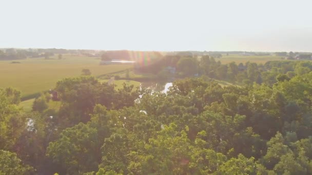 Aerial Shot Trees Panning Pond — Stock Video