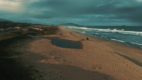 Paseo Caballo Por Una Playa Salvaje Florianopolis Brasil — Vídeos de Stock