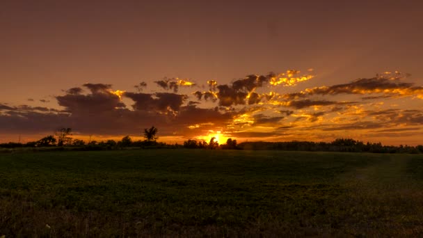 Tijdspanne Van Zonsondergang Tegen Een Veld Met Bomen — Stockvideo