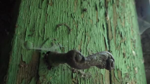 Stare Zielone Drzwi Bardzo Wytrwale Stłuczone — Wideo stockowe