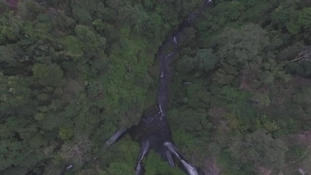 Belle Cascade Drone Tirer Bali Est Cascade Sekumpul Située Dans — Video