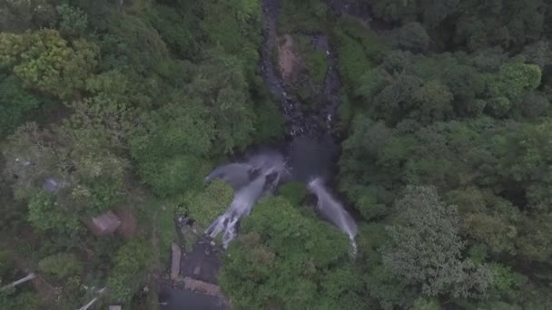 Pěkný Vodopád Drone Střílet Bali Tohle Vodopád Sekumpul Severním Bali — Stock video