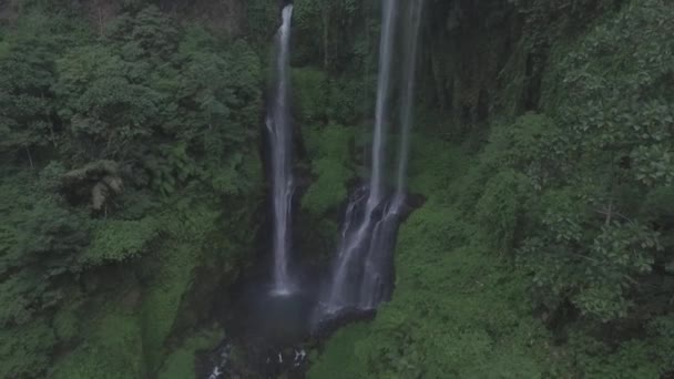 Bonito Dron Cascada Bali Esta Cascada Sekumpul Situada Norte Bali — Vídeos de Stock