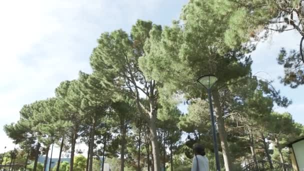 Университетские Площадки Птицами Студентами Деревьями Солнечный День — стоковое видео