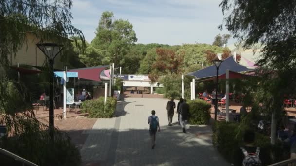 Güneşli Bir Günde Kuşlarla Öğrencilerle Ağaçlarla Dolu Üniversite Arazileri — Stok video