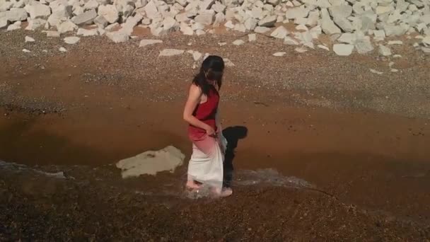 Sahilde Yürüyen Kadın Michigan Gölü Illinois — Stok video