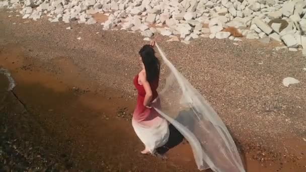 在密歇根州的海滩上散步的女人 — 图库视频影像