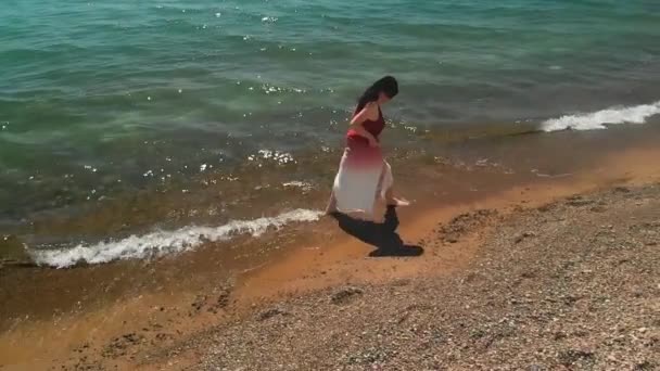 Жінка Йде Пляжу Озера Мічиган — стокове відео