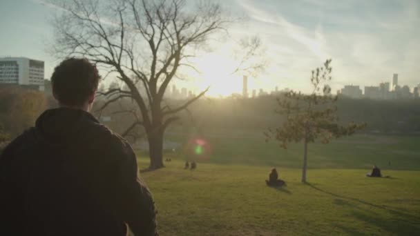 Attractive Mixed Race Man Explores City Park Beautiful Evening Cinematic — Stockvideo