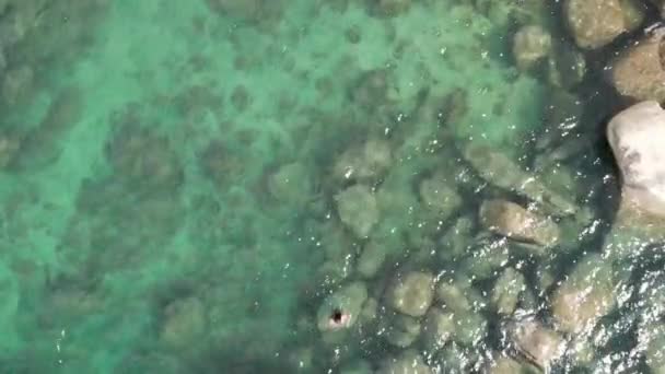 Lac Tahoe Californie Drone Vidéo Pendant Été — Video