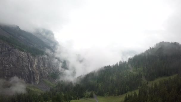 霧の多い山の緑の畑のドローン撮影 ヘリコプター撮影 — ストック動画