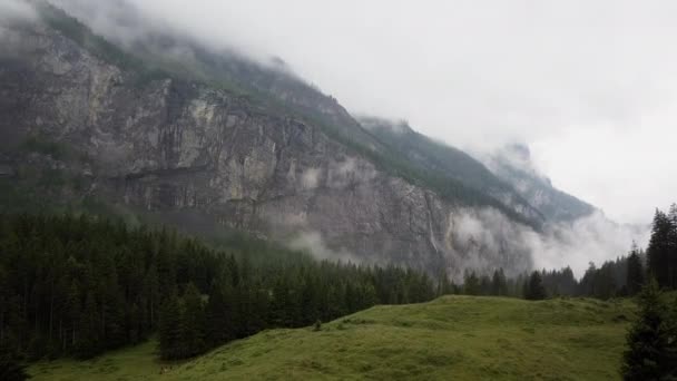 霧の多い山の下の緑のフィールドのドローン撮影 ヘリコプターのショット — ストック動画