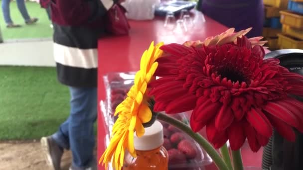 Dwie Osoby Przy Ladzie Kupują Kwiaty Płacą Gotówką Czerwonym Żółtym — Wideo stockowe
