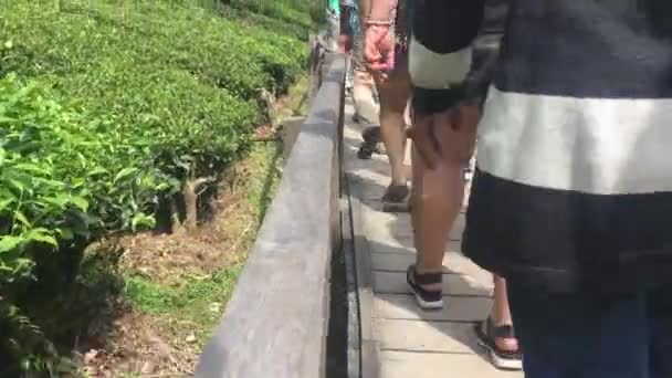 Güneşli Bir Günde Bir Grup Kadın Ahşap Merdivenlerden Aşağı Iniyor — Stok video