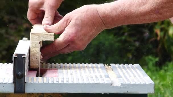 Masa Testeresiyle Odun Kesiyor Yakın Çekim Gerçek Zamanlı — Stok video