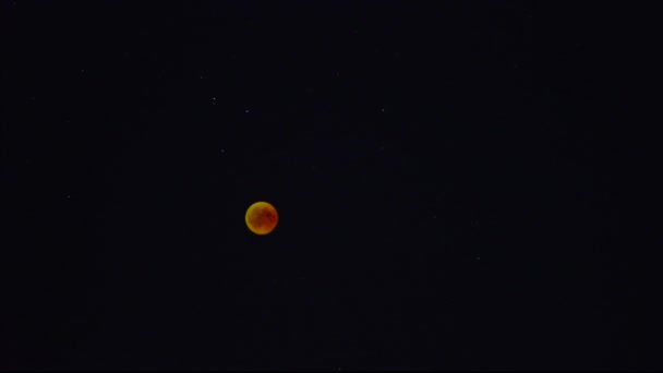 Timelapse Bloodmoon 2018 Inglés Dispara Coloreado Premiere Pro — Vídeo de stock