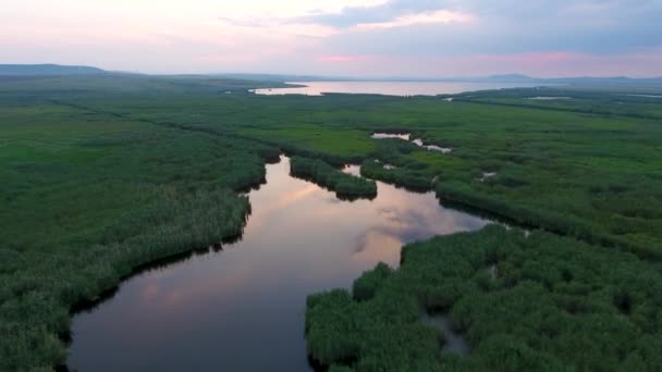 Drone Aumento Colpito Sopra Palude Delta Del Danubio Romania — Video Stock