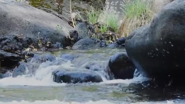 새크라멘토 강에서 쏟아져 내리는 폭포의 — 비디오