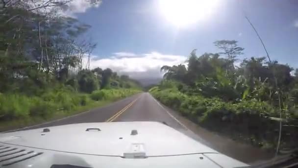 Berkendara Atas Jalan Hawai Mencari Pantai — Stok Video