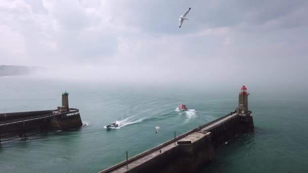 Gulls Emerging Mist While Two Boats Cross Each Orther Lighthouses — Stock Video