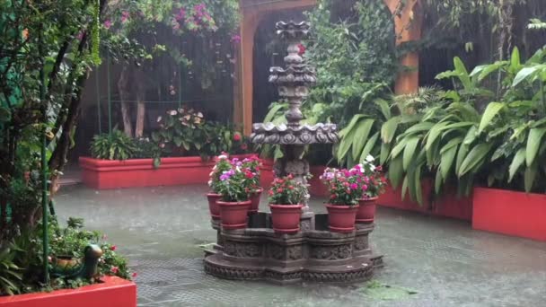 Βροχή Του Μήνα Ιούλιο Στη Γουατεμάλα — Αρχείο Βίντεο