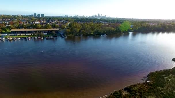 Dron Stoupá Nad Labutí Řeku Městě Perth — Stock video