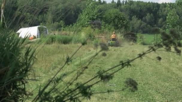 Reifer Mann Von Hinten Der Gras Auf Dem Feld Mäht — Stockvideo