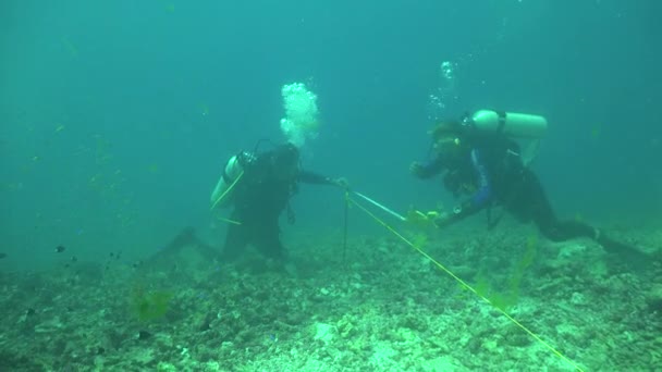 Buceadores Que Miden Para Proyecto Oleoducto Ambientalmente Sostenible Todo Coral — Vídeos de Stock