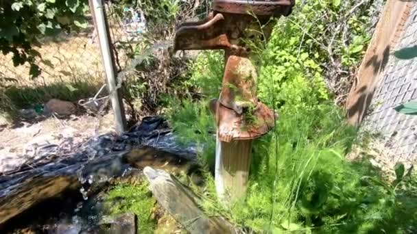 Blick Auf Den Yard Water Pond — Stockvideo