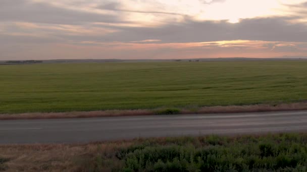 Aeronave Drone Tiro Subir Sobre Campo Agrícola Revelando Pôr Sol — Vídeo de Stock