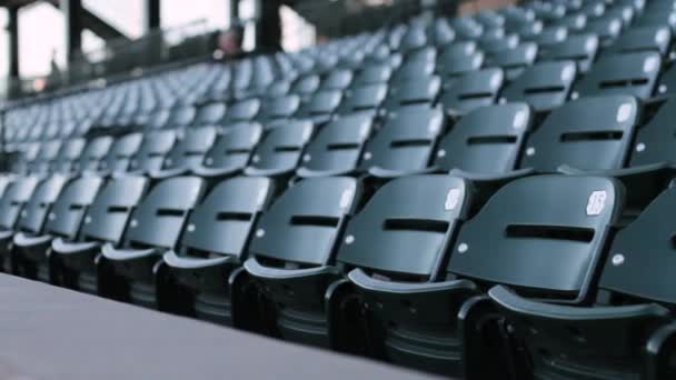 Baseball Stadion Atmosfär Video — Stockvideo