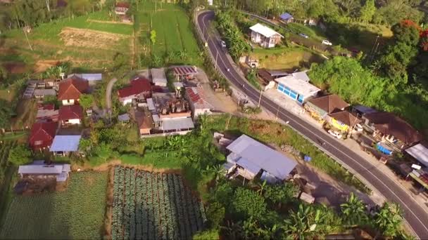 Drone Vliegt Tegalang Rice Terraces Ubud Bali Indonesië — Stockvideo