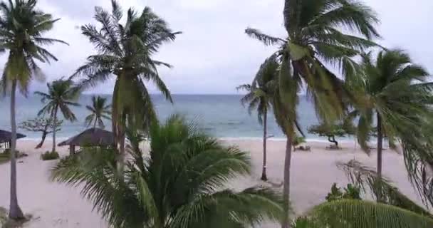 Zdjęcia Lotnicze Podnoszące Się Nad Palmami Odsłaniające Wyspę Tablas Filipinach — Wideo stockowe
