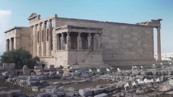 Starožitná Mramorová Veranda Maindenů Atény Řecko — Stock video