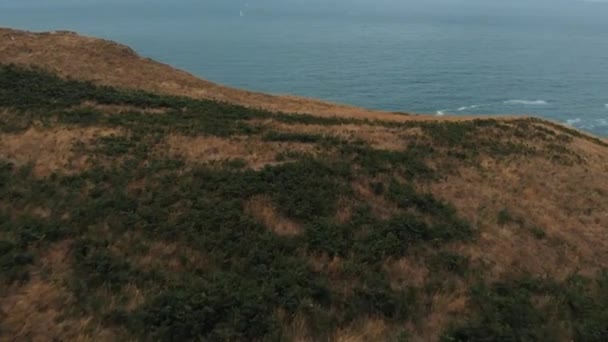女人带着狗在海岸悬崖上散步 — 图库视频影像