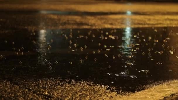 Närbild Bild Bild Regnig Natt Sommaren Norra Italien — Stockvideo