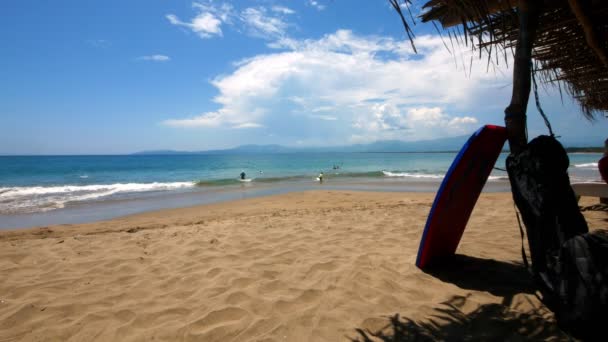 Wakeboard Tropical Beach Palm Trees Summer Day Inglés Ixtapa Zihuatanejo — Vídeo de stock